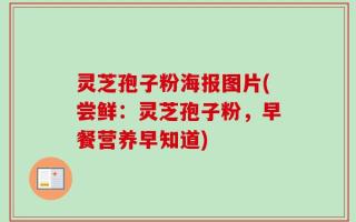 灵芝孢子粉海报图片(尝鲜：灵芝孢子粉，早餐营养早知道)