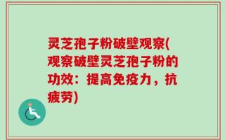 灵芝孢子粉破壁观察(观察破壁灵芝孢子粉的功效：提高免疫力，抗疲劳)