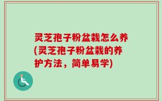 灵芝孢子粉盆栽怎么养(灵芝孢子粉盆栽的养护方法，简单易学)