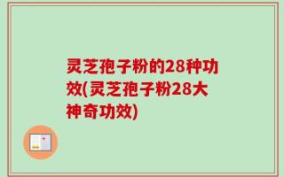 灵芝孢子粉的28种功效(灵芝孢子粉28大神奇功效)