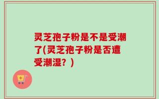 灵芝孢子粉是不是受潮了(灵芝孢子粉是否遭受潮湿？)