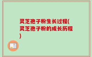 灵芝孢子粉生长过程(灵芝孢子粉的成长历程)