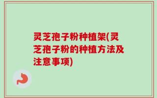 灵芝孢子粉种植架(灵芝孢子粉的种植方法及注意事项)