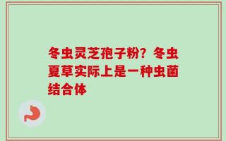 冬虫灵芝孢子粉？冬虫夏草实际上是一种虫菌结合体