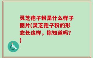 灵芝孢子粉是什么样子图片(灵芝孢子粉的形态长这样，你知道吗？)