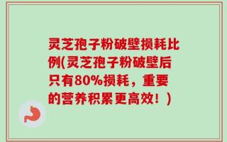 灵芝孢子粉破壁损耗比例(灵芝孢子粉破壁后只有80%损耗，重要的营养积累更高效！)