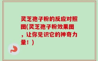 灵芝孢子粉的反应对照图(灵芝孢子粉效果图，让你见识它的神奇力量！)