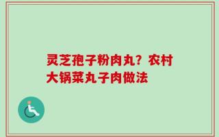 灵芝孢子粉肉丸？农村大锅菜丸子肉做法