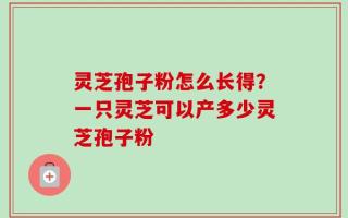 灵芝孢子粉怎么长得？一只灵芝可以产多少灵芝孢子粉