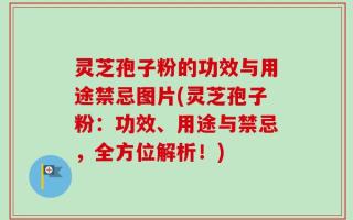 灵芝孢子粉的功效与用途禁忌图片(灵芝孢子粉：功效、用途与禁忌，全方位解析！)