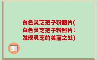 白色灵芝孢子粉图片(白色灵芝孢子粉照片：发现灵芝的美丽之处)