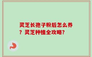 灵芝长孢子粉后怎么养？灵芝种植全攻略？