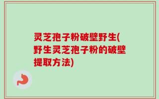灵芝孢子粉破壁野生(野生灵芝孢子粉的破壁提取方法)