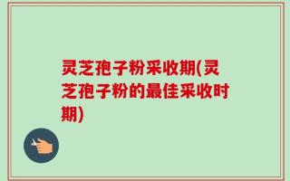 灵芝孢子粉采收期(灵芝孢子粉的最佳采收时期)
