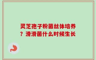 灵芝孢子粉菌丝体培养？滑滑菌什么时候生长