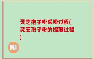 灵芝孢子粉采粉过程(灵芝孢子粉的提取过程)