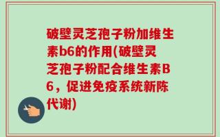 破壁灵芝孢子粉加维生素b6的作用(破壁灵芝孢子粉配合维生素B6，促进免疫系统新陈代谢)
