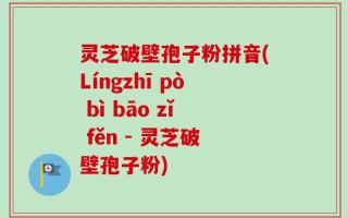 灵芝破壁孢子粉拼音(Língzhī pò bì bāo zǐ fěn - 灵芝破壁孢子粉)