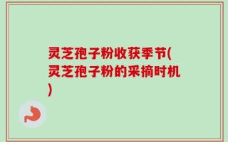 灵芝孢子粉收获季节(灵芝孢子粉的采摘时机)