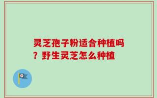 灵芝孢子粉适合种植吗？野生灵芝怎么种植