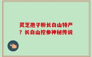 灵芝孢子粉长白山特产？长白山挖参神秘传说