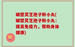 破壁灵芝孢子粉小丸(破壁灵芝孢子粉小丸：提高免疫力，帮助身体健康)