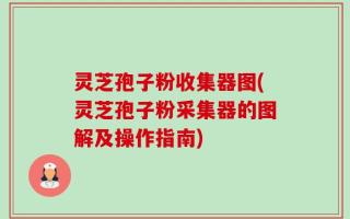 灵芝孢子粉收集器图(灵芝孢子粉采集器的图解及操作指南)