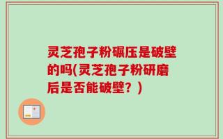 灵芝孢子粉碾压是破壁的吗(灵芝孢子粉研磨后是否能破壁？)