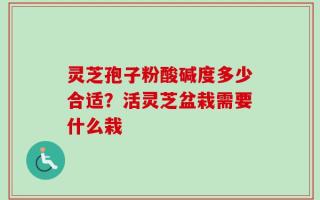 灵芝孢子粉酸碱度多少合适？活灵芝盆栽需要什么栽