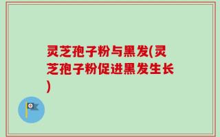 灵芝孢子粉与黑发(灵芝孢子粉促进黑发生长)