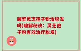 破壁灵芝孢子粉治脱发吗(破解秘诀：灵芝孢子粉有效治疗脱发)