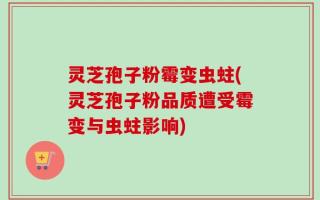 灵芝孢子粉霉变虫蛀(灵芝孢子粉品质遭受霉变与虫蛀影响)