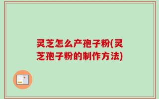 灵芝怎么产孢子粉(灵芝孢子粉的制作方法)