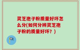 灵芝孢子粉质量好坏怎么分(如何分辨灵芝孢子粉的质量好坏？)