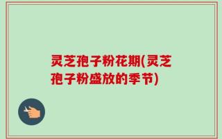 灵芝孢子粉花期(灵芝孢子粉盛放的季节)