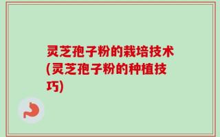 灵芝孢子粉的栽培技术(灵芝孢子粉的种植技巧)