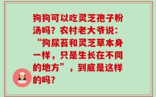 狗狗可以吃灵芝孢子粉汤吗？农村老大爷说：“狗尿苔和灵芝草本身一样，只是生长在不同的地方”，到底是这样的吗？