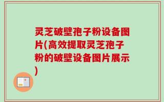灵芝破壁孢子粉设备图片(高效提取灵芝孢子粉的破壁设备图片展示)