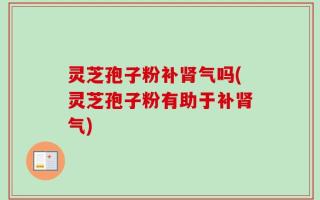 灵芝孢子粉补肾气吗(灵芝孢子粉有助于补肾气)