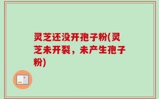 灵芝还没开孢子粉(灵芝未开裂，未产生孢子粉)