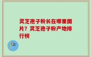 灵芝孢子粉长在哪里图片？灵芝孢子粉产地排行榜