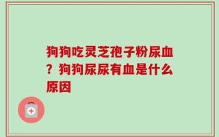 狗狗吃灵芝孢子粉尿血？狗狗尿尿有血是什么原因