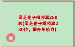 灵芝孢子粉胶囊280粒(灵芝孢子粉胶囊280粒，提升免疫力)