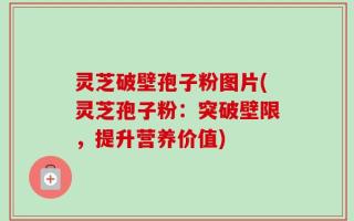 灵芝破壁孢子粉图片(灵芝孢子粉：突破壁限，提升营养价值)
