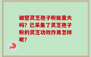 破壁灵芝孢子粉能量大吗？已采集了灵芝孢子粉的灵芝功效作用怎样呢？