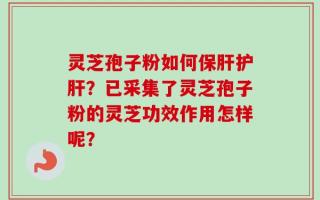 灵芝孢子粉如何保肝护肝？已采集了灵芝孢子粉的灵芝功效作用怎样呢？