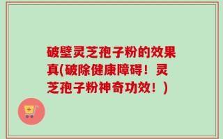 破壁灵芝孢子粉的效果真(破除健康障碍！灵芝孢子粉神奇功效！)