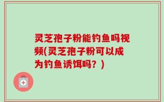 灵芝孢子粉能钓鱼吗视频(灵芝孢子粉可以成为钓鱼诱饵吗？)