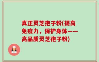 真正灵芝孢子粉(提高免疫力，保护身体——高品质灵芝孢子粉)
