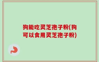 狗能吃灵芝孢子粉(狗可以食用灵芝孢子粉)